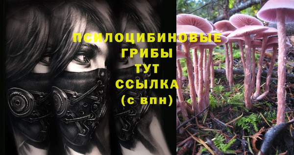 дурь Алексеевка
