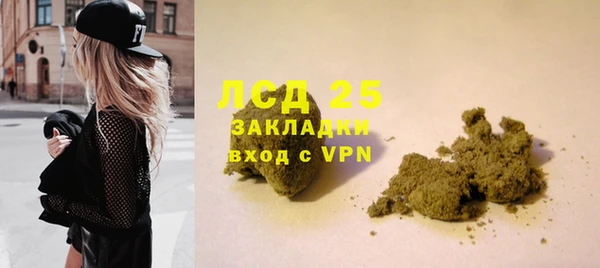 шишки Алзамай