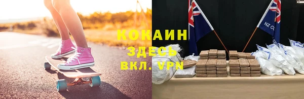 шишки Алзамай