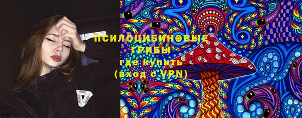дурь Алексеевка